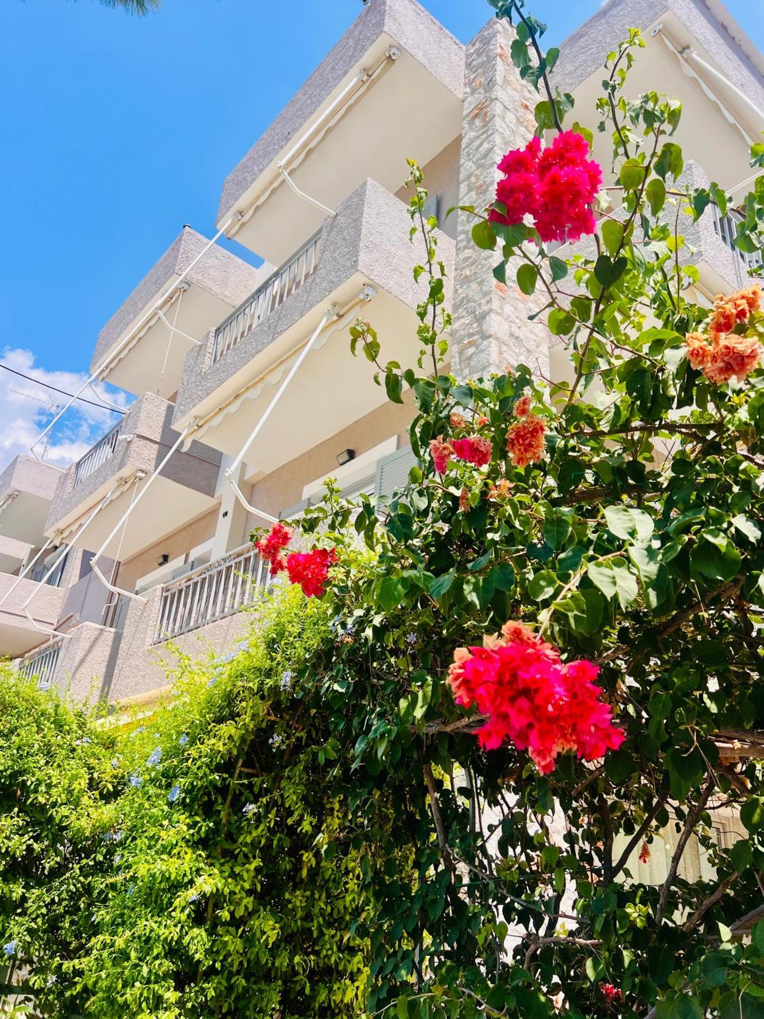 Aloe Luxury Apartments Porto Heli Eksteriør billede